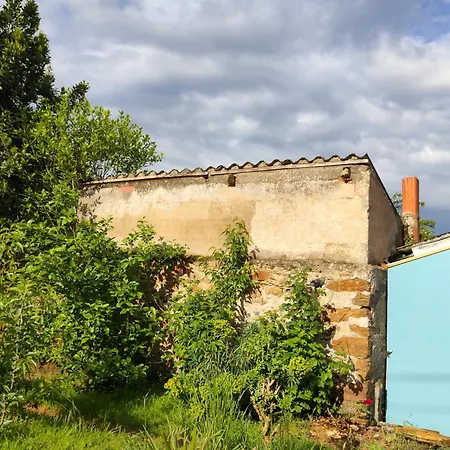 Maison Avec Jardin - 2 Et Entrees Distincts Et Independantes Et Ses Deux Chats *